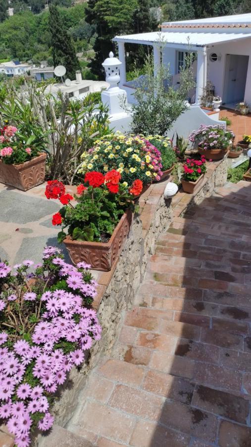 B&B Villa Cristina Anacapri  Exterior photo