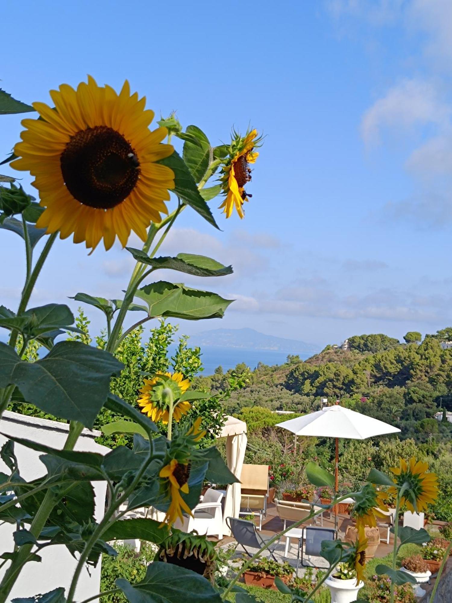 B&B Villa Cristina Anacapri  Exterior photo