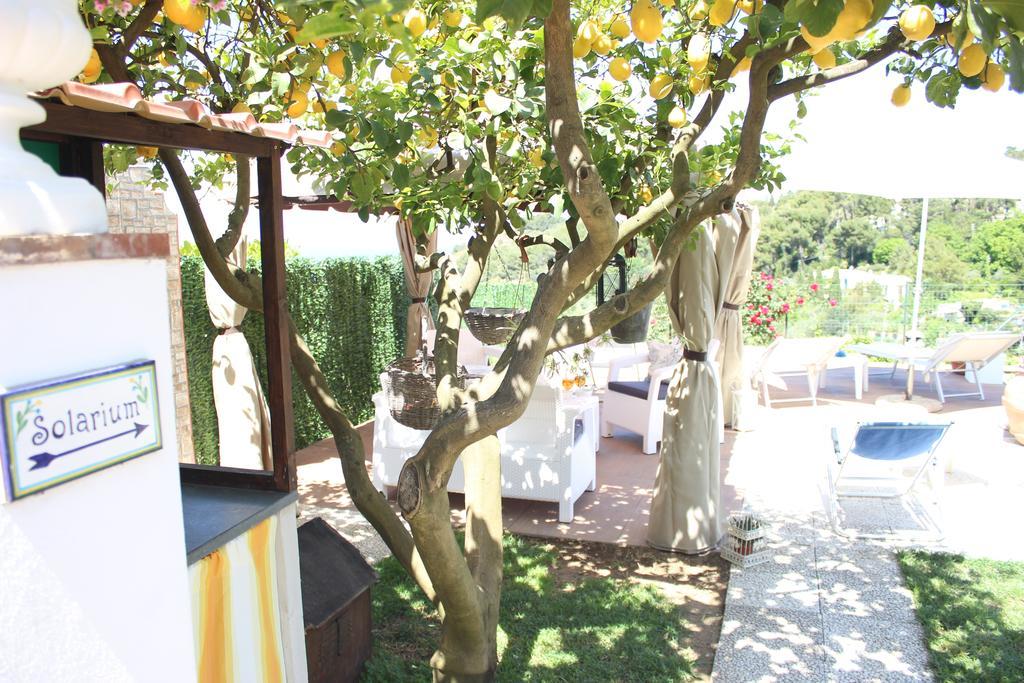 B&B Villa Cristina Anacapri  Exterior photo